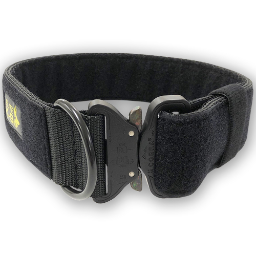 Cobra buckle dog collar best sale