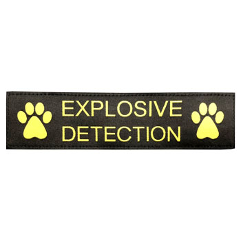 Explosive Detection 8