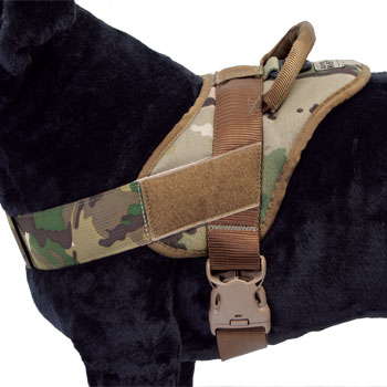 Tactical Patrol Harness