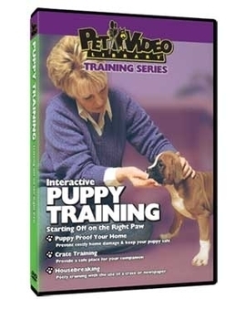 Puppy Training