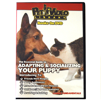 Adapting & Socializing Your Puppy