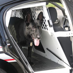 2011 - 2023 Dodge Charger K-9 Transport